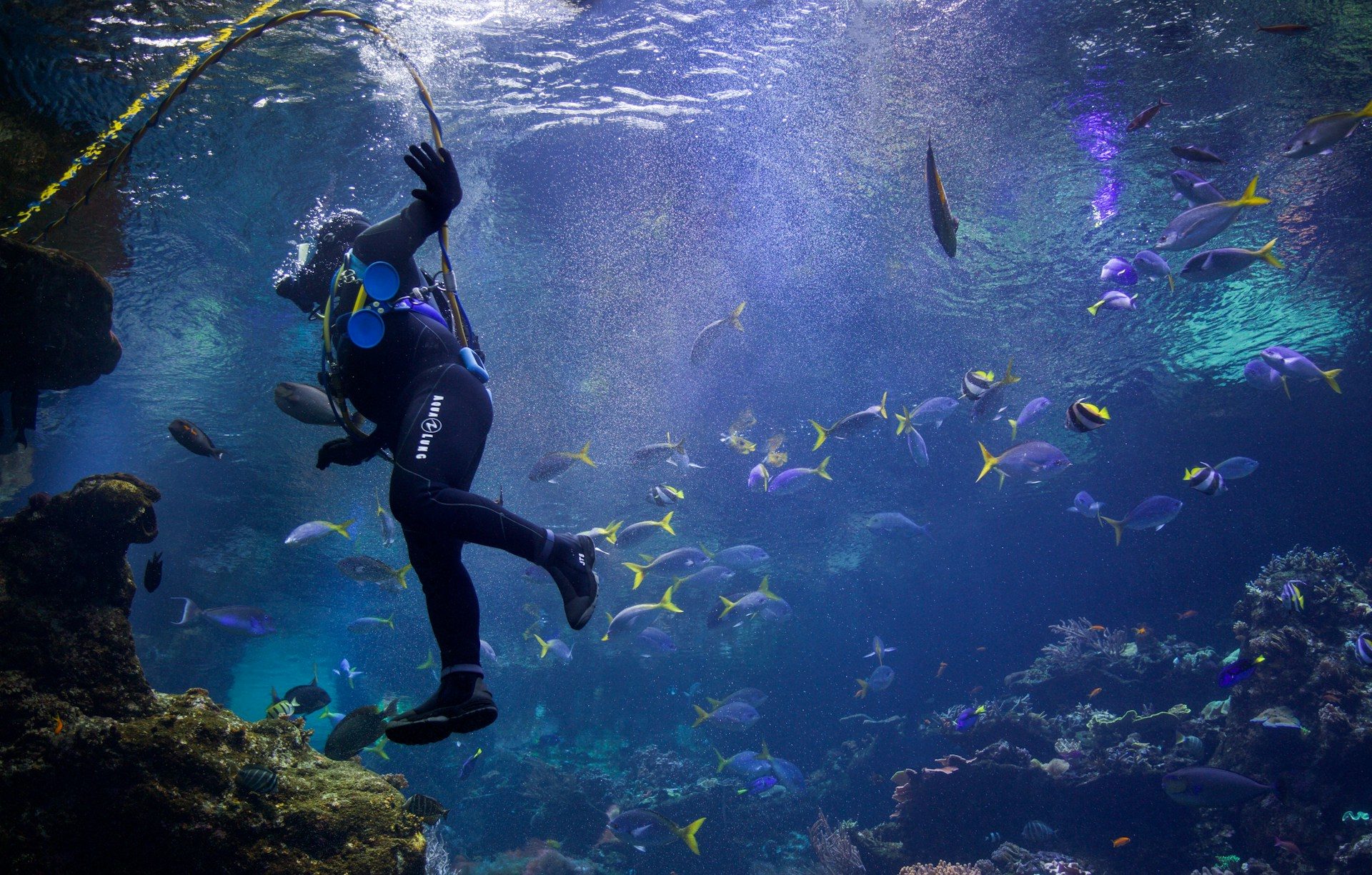 Aquaria KLCC Ticket – Kuala Lumpur, Malaysia